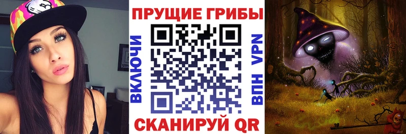 купить наркоту  Нестеровская  Галлюциногенные грибы прущие грибы 